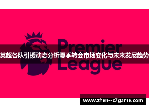 英超各队引援动态分析夏季转会市场变化与未来发展趋势 英超各队引援动态分析夏季转会市场变化与未来发展趋势