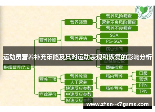 运动员营养补充策略及其对运动表现和恢复的影响分析